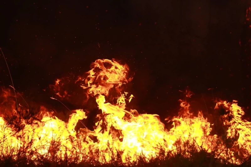 Europe enters an era of massive wildfires.