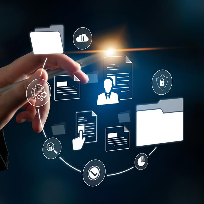 Digital Platforms & Services
